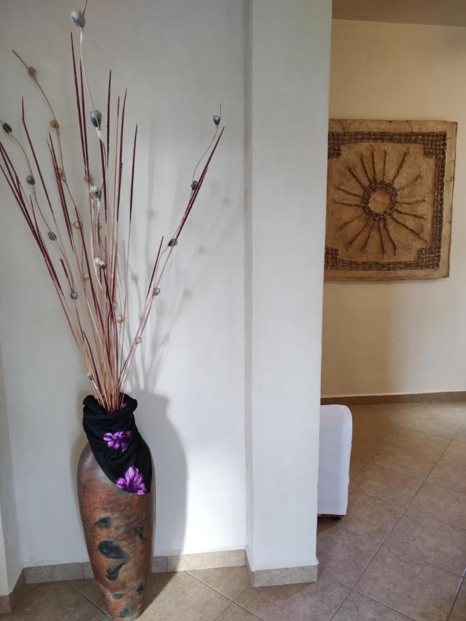 Balanca Studios Puerto Morelos Eksteriør bilde